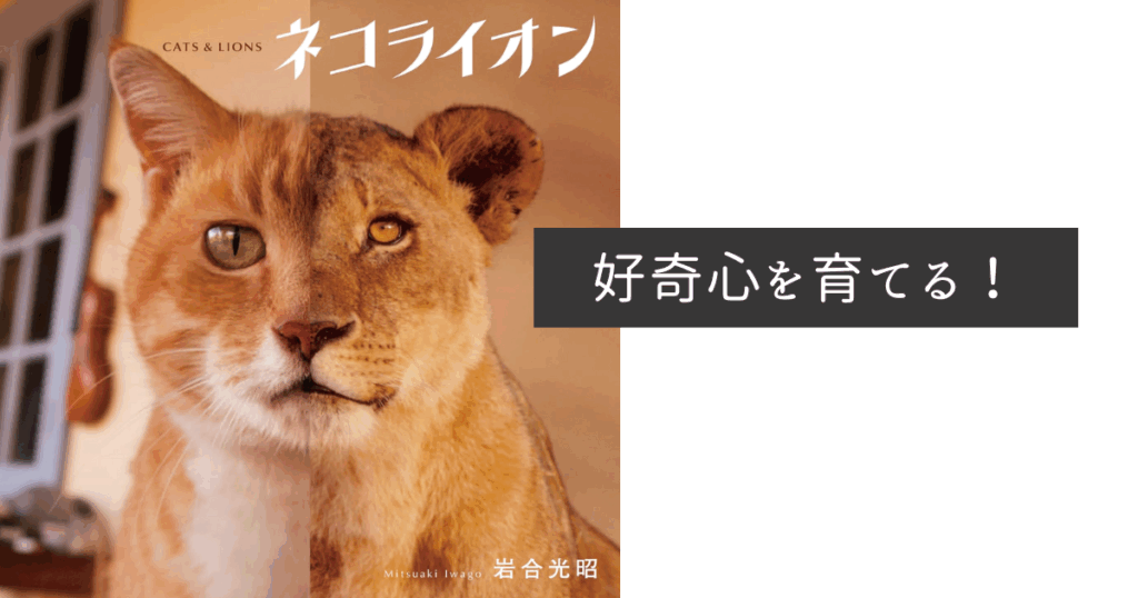 『ネコライオン』写真集の表紙（岩合光昭）
